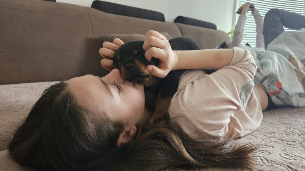 Rottweiler in otroci — varnost in ljubezen