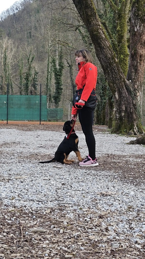 Zakaj je zgodnja socializacija tako pomembna