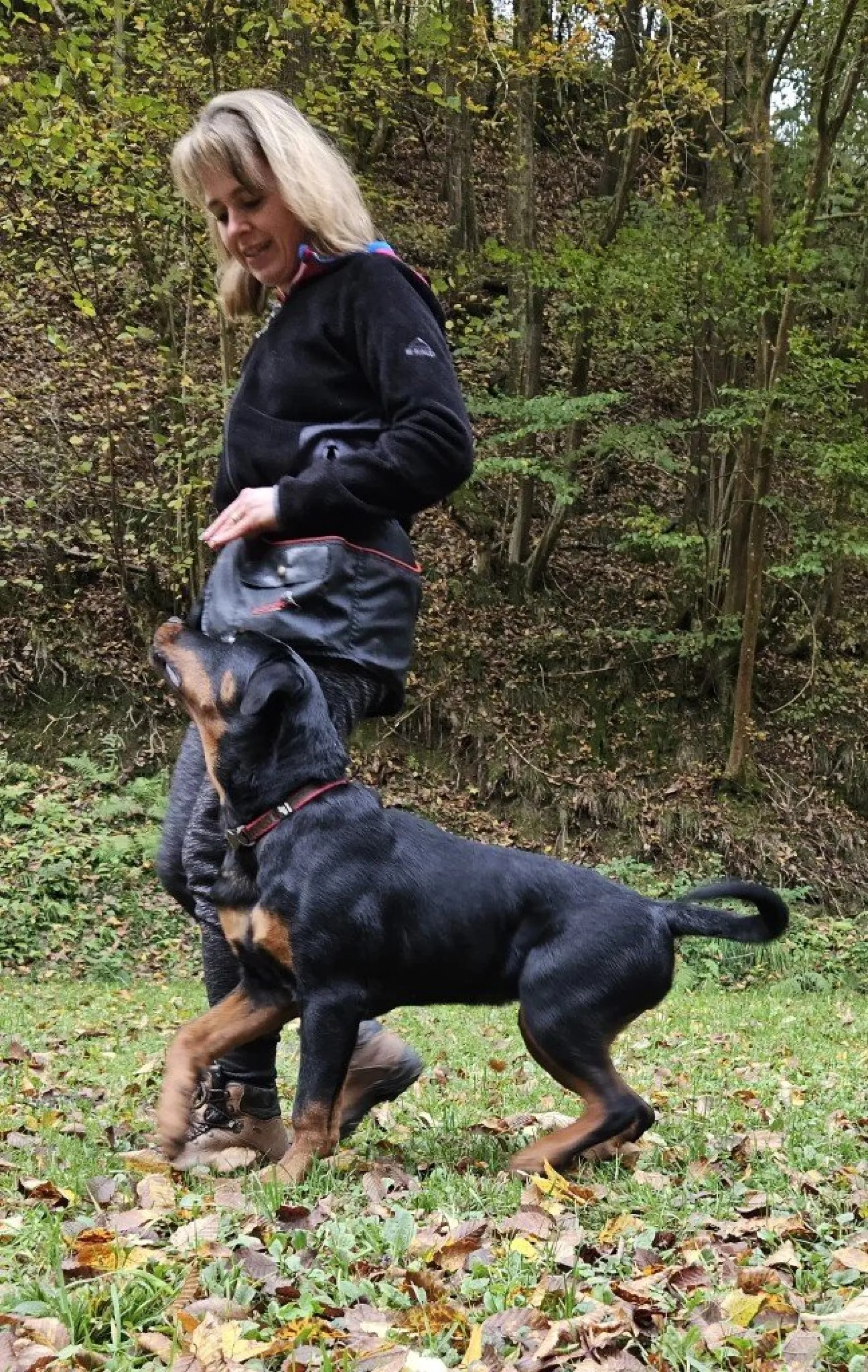 Rottweiler — življenje v psarni Aria Ranch Rottweilers